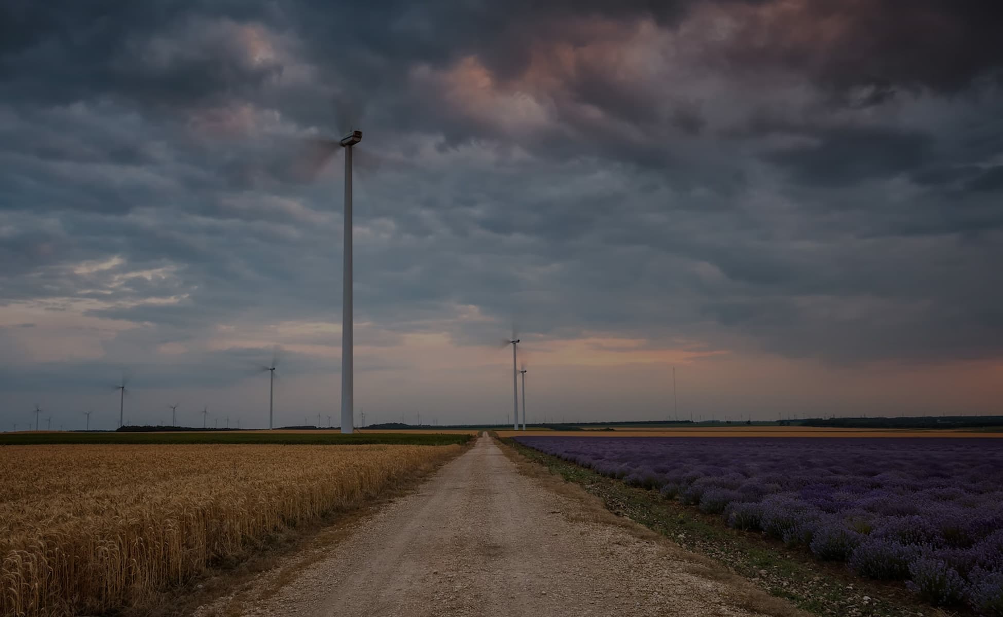 Solar panels and wind turbines